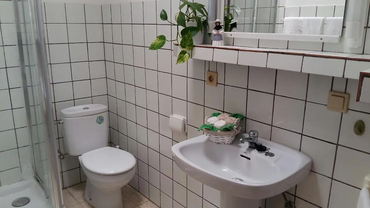 Apartamentos Los Vientos Orzola